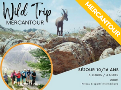 WildTrip.png